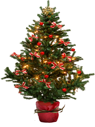 Simple Christmas Tree 20 PNG Images