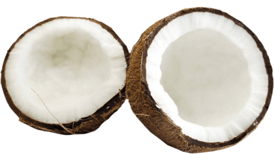Coconut Free Download PNG Images