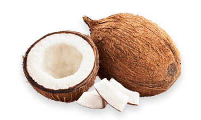 Coconut Cut Out PNG Images