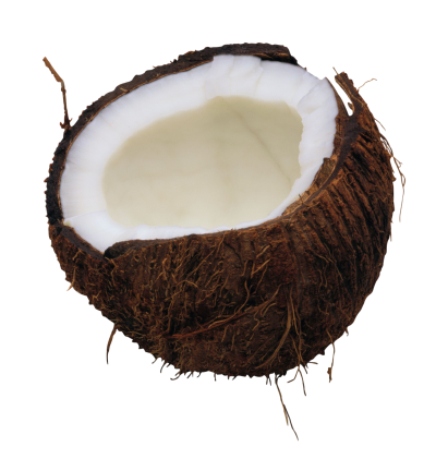 Coconut Picture PNG Images