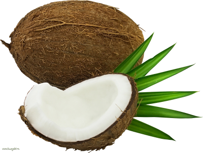 Coconut Free Cut Out PNG Images