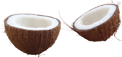 Coconut Png PNG Images