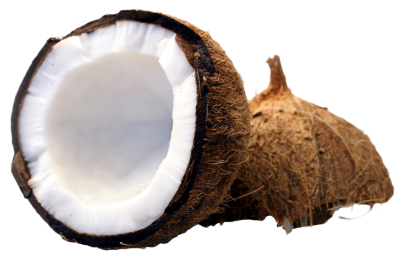 Coconut Transparent Picture PNG Images