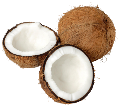 Coconut Best Png PNG Images