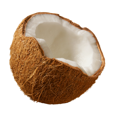 Coconut Simple PNG Images