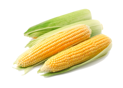 Corn Clipart HD PNG Images