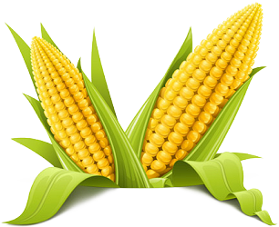 Corn Cut Out Png PNG Images