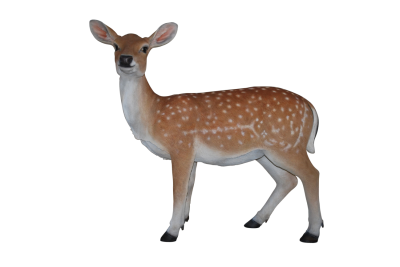 Deer Female, Doe PNG Icon PNG Images
