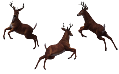 Leaping Deer Photos PNG Images