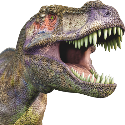 Dinosaur Wonderful Picture Images PNG Images
