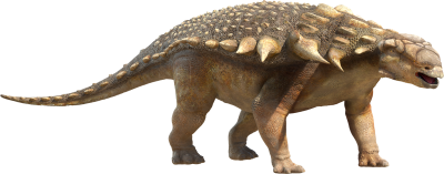Dinosaur Clipart Photo PNG Images