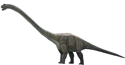 Dinosaur Images PNG PNG Images