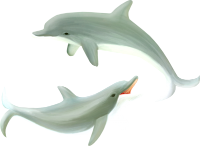 Cute White Dolphin Background Png Images PNG Images