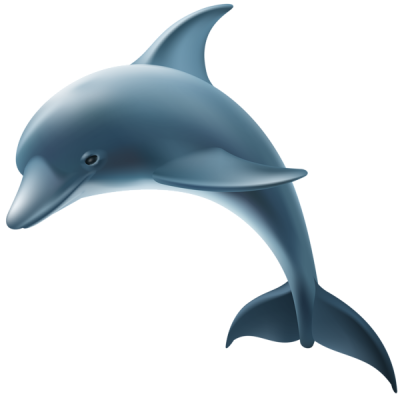 Digital Blue Dolphin Pictures Free Download PNG Images