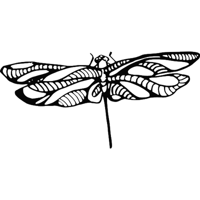 Dragonfly Tattoos Free Download PNG Images