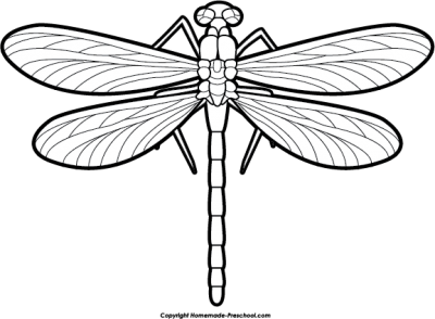 Dragonfly Tattoos Free PNG PNG Images