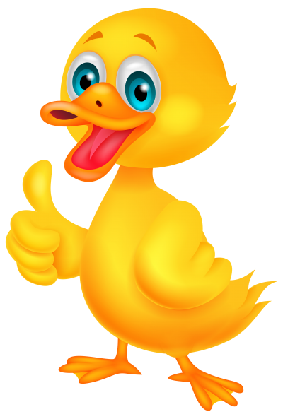 Duck HD Photo Png PNG Images