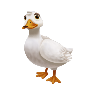 White Duck Free Download PNG Images