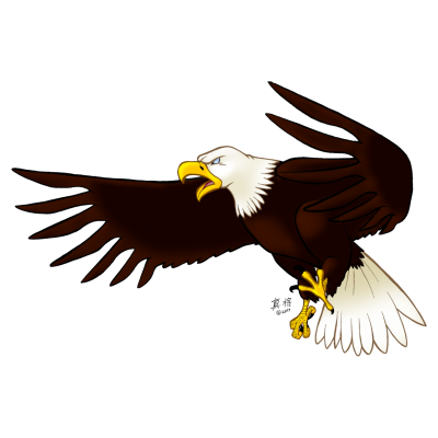 Eagle Transparent Background PNG Images