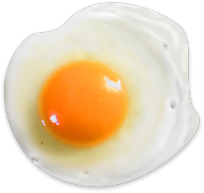 Egg Photos PNG Images
