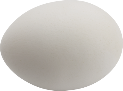 Egg Transparent Image PNG Images
