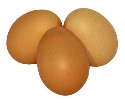Egg Free PNG PNG Images