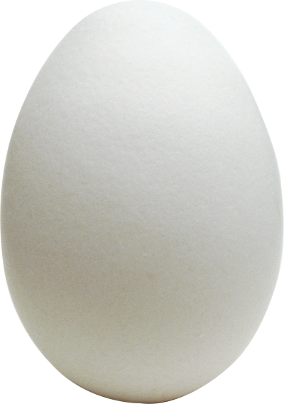 Egg PNG Picture PNG Images