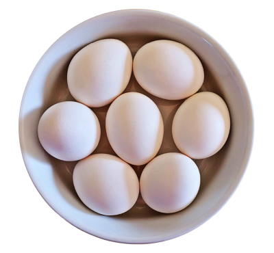 Egg Picture PNG Images