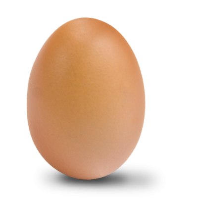 Egg Clipart Photo PNG Images