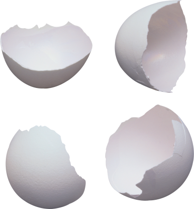 Egg Transparent PNG Images