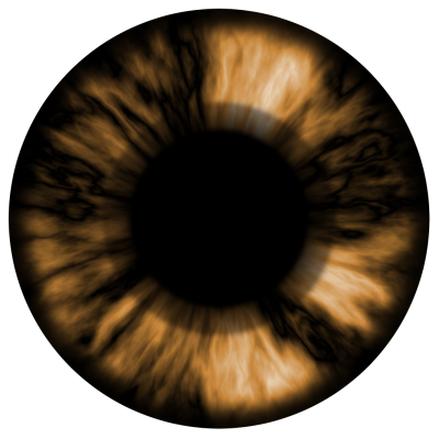Eye PNG Vector Images with Transparent background - TransparentPNG