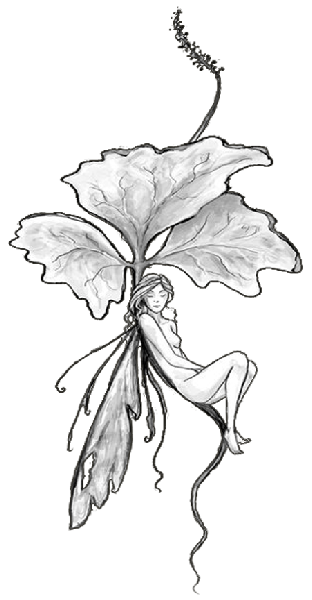 Download Fairy Tattoos PNG PNG Images