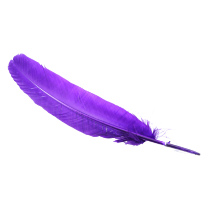 Feather, Purple, Bird, Flying Photo PNG Images