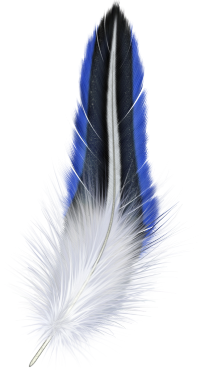 Sparrow, Cotton, Beautiful, Colorful, Feather Png PNG Images