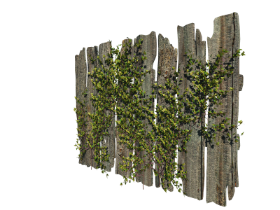 Wood, Trees, Fence Png PNG Images