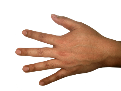 Download Hands Png Finger Hand Image PNG Images