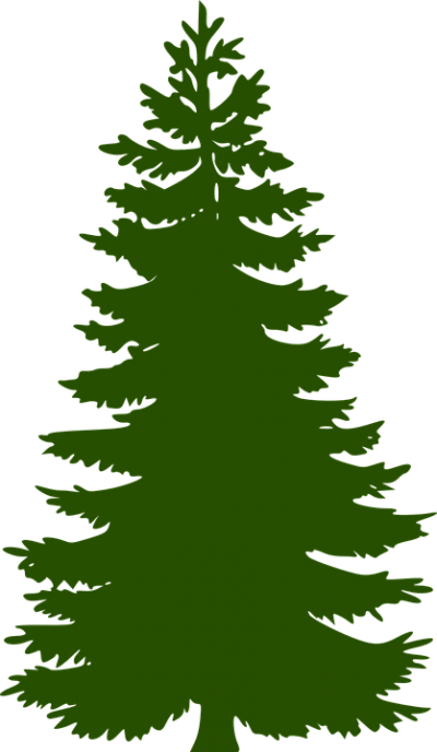 Simple Drawing Fir Tree Free Png PNG Images