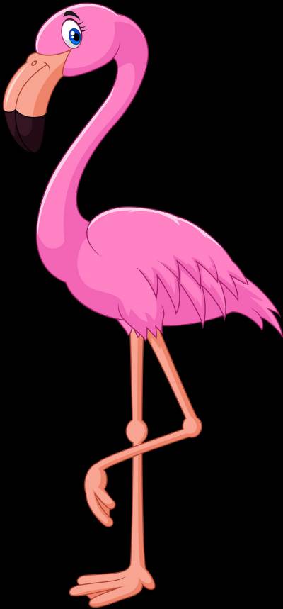 Cartoon Pink Flamingo Clipart Png PNG Images