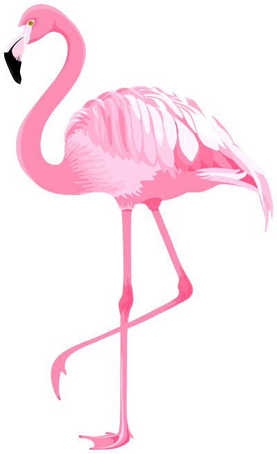 Feathered Pink Flamingo Design Transparent Background PNG Images