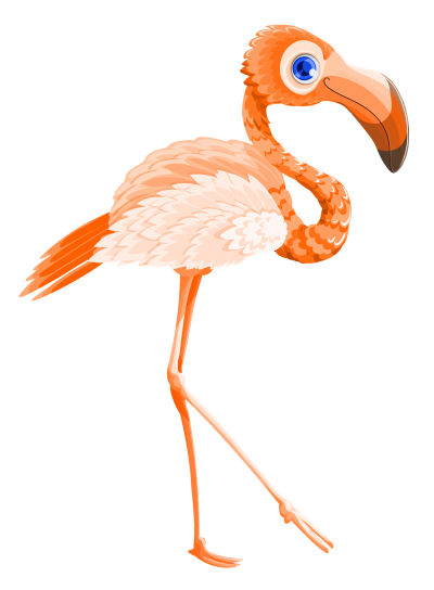Prange Flamingo Bird Vector Png Transparent PNG Images