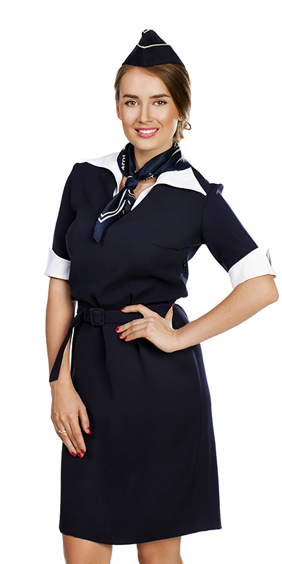 Liquid Waste Disposal Solution Flight Attendant Png PNG Images