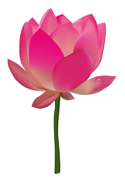 Design Pink Lotus Floral Png Hd PNG Images