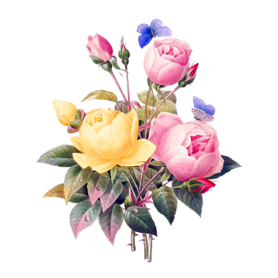 Download FLORAL Free PNG transparent image and clipart