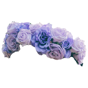 Big Purple Rose Flower Crown Clipart Png - 33207 - TransparentPNG