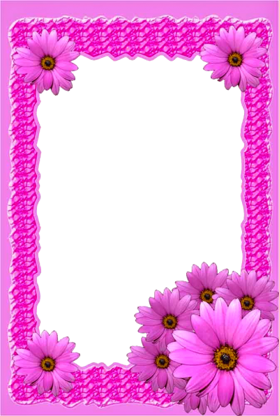 Pink Frame, Pink Flower Frame, Love, Marriage, Memories, Picture Frame PNG Images