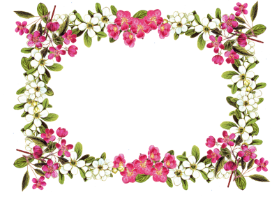 Vintage Flower Frame Clipart, White And Pink Flower With Green Leaf Borders PNG Images