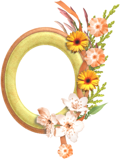 Gold And White Flowers With Gold Frame Design Png Transparent PNG Images