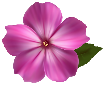 Flower Png Image Pink Clipart PNG Images