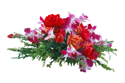 Frame Flowers Png PNG Images