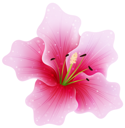 Pink Flower Png PNG Images